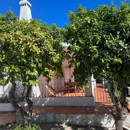 Beautiful Private Villa With Pool, Boliqueime, Loule Exterior photo