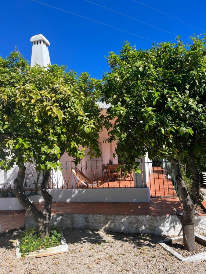 Beautiful Private With Pool, Boliqueime, Loule Villa *